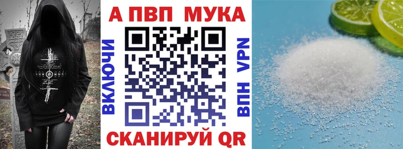 Alfa_PVP СК Высоцк