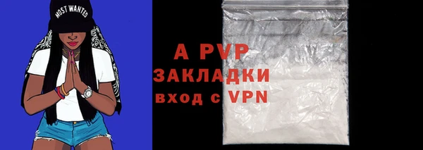 ПСИЛОЦИБИНОВЫЕ ГРИБЫ Покачи