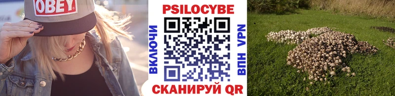 Галлюциногенные грибы MAGIC MUSHROOMS  Высоцк 