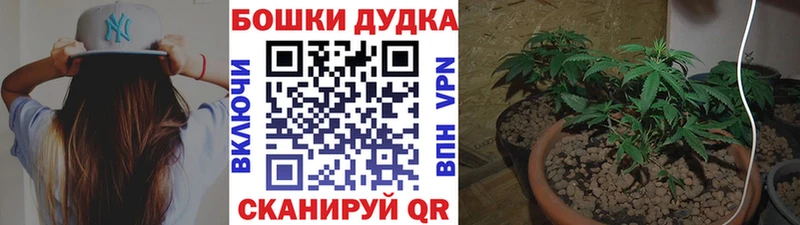 Марихуана Ganja  купить наркотики цена  Высоцк 